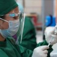 Число заразившихся коронавирусом в Архангельской области перевалило за полтысячи