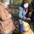 С помощью кинологов в Приморском районе удалось найти двух пропавших в лесу женщин