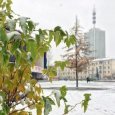 Мокрый снег пройдет в Архангельской области 21 октября