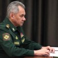 Министр обороны РФ Шойгу: задача по частичной мобилизация выполнена