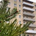 Треть от числа аварийных переселенцев в Поморье получили благоустроенное жилье