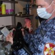 Недобросовестные владельцы оружия в Поморье лишились стволов и лицензий
