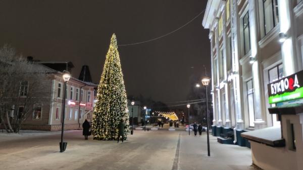 В Архангельске у новогодней ёлки задержали укравшего тушенку из магазина мужчину