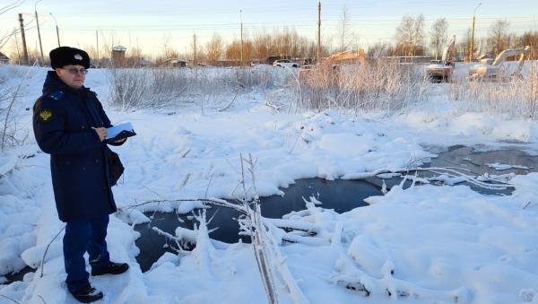 Образовавшийся у Маймаксанского шоссе ручей привлек внимание прокуратуры