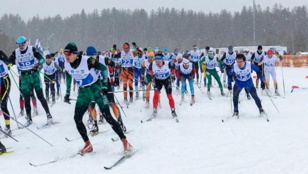 Звезды лыжного спорта приедут в Устьяны на соревнования «Чемпионские высоты»