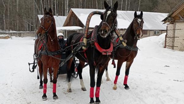 Тройка из Архангельской области вошла в число лучших на чемпионате в Костроме