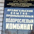 Архангельский водорослевый комбинат вновь сменил владельцев