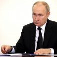 Владимира Путина ждут в Архангельской области на совещание по лесной отрасли