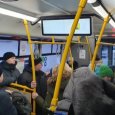 Архангелогородцев возмутило новое расписание автобусов на маршруте № 31