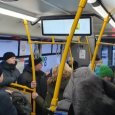 Недовольные автобусной маршрутизацией архангелогородцы намерены обратиться к Путину